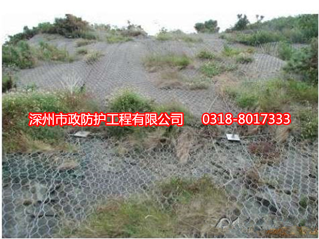 格賓掛網(wǎng)